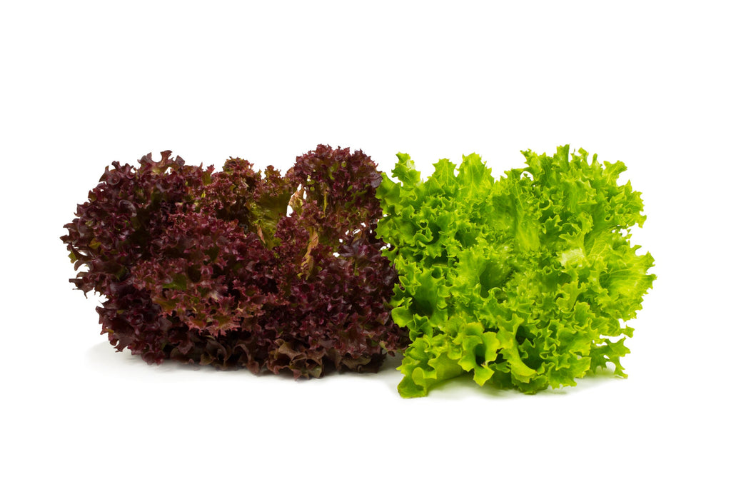 Mix Lettuce Leaves (Approx 150 gms)
